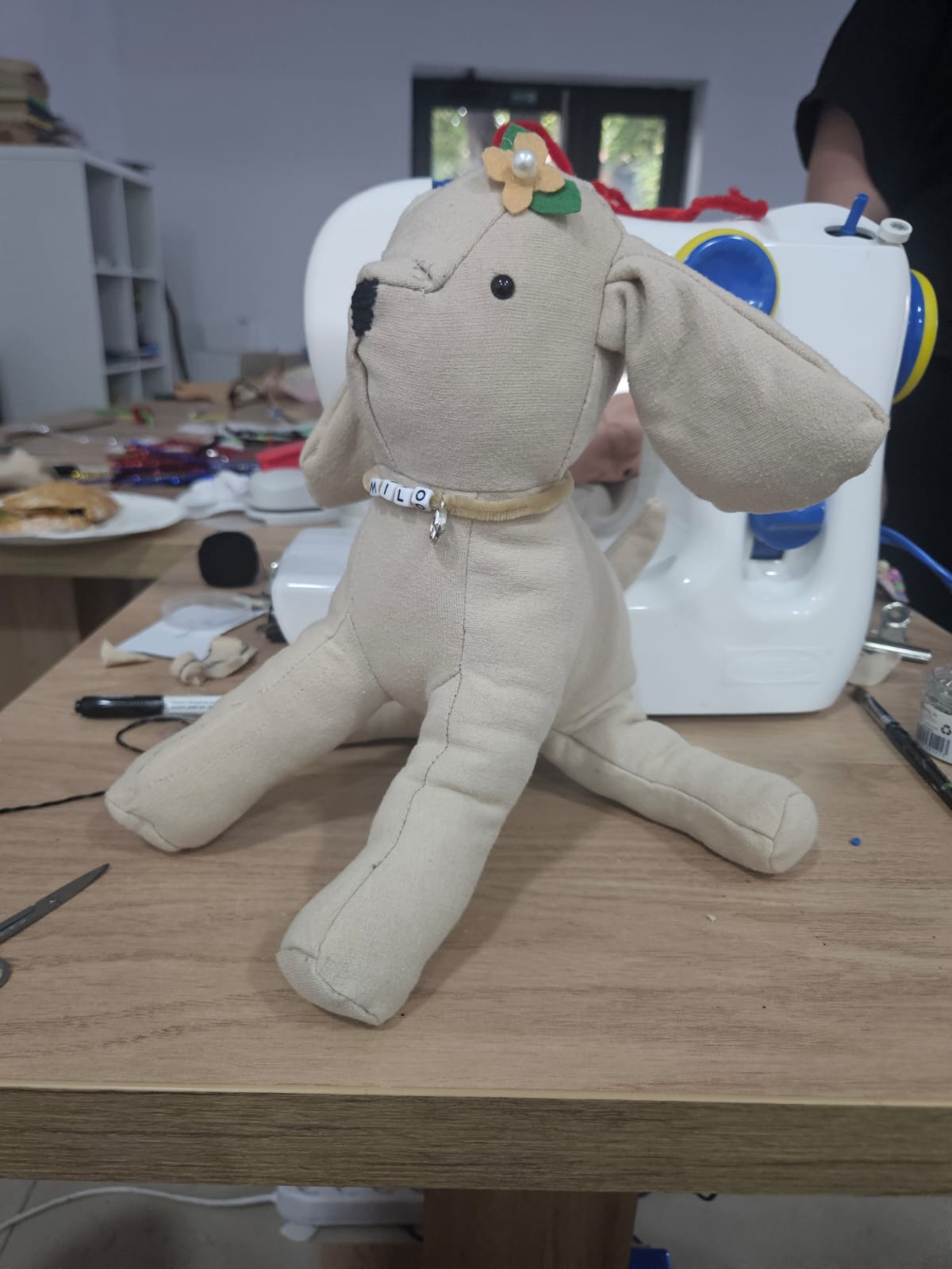 Tema 1 - Fiber art - Catelus de Plus